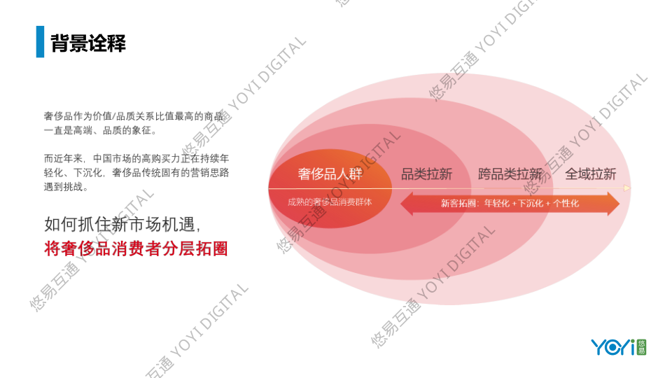 报告页面2