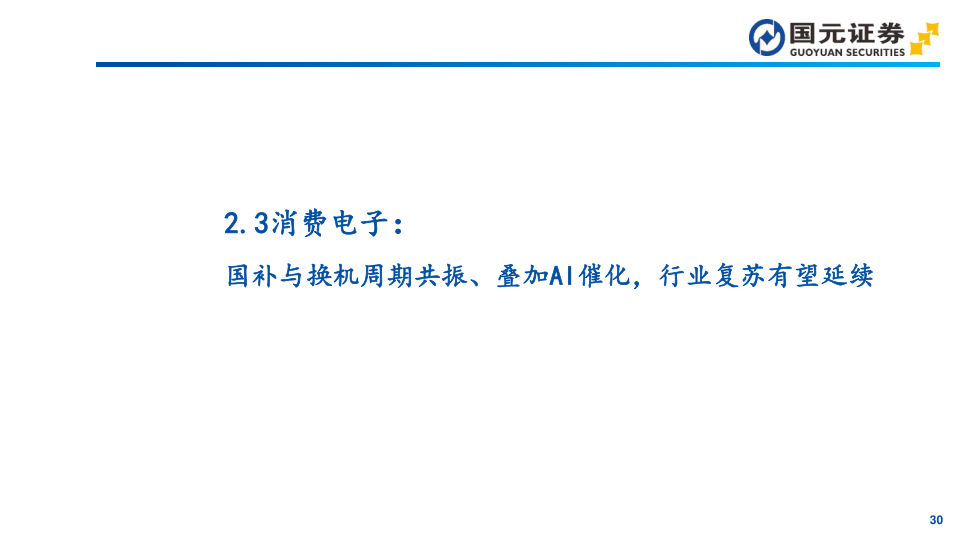 报告页面30