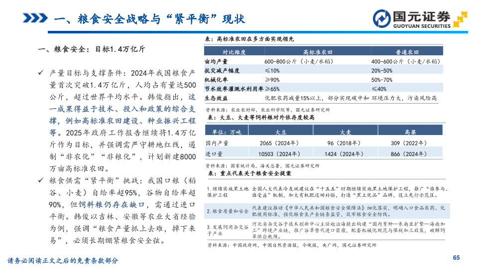 报告页面65