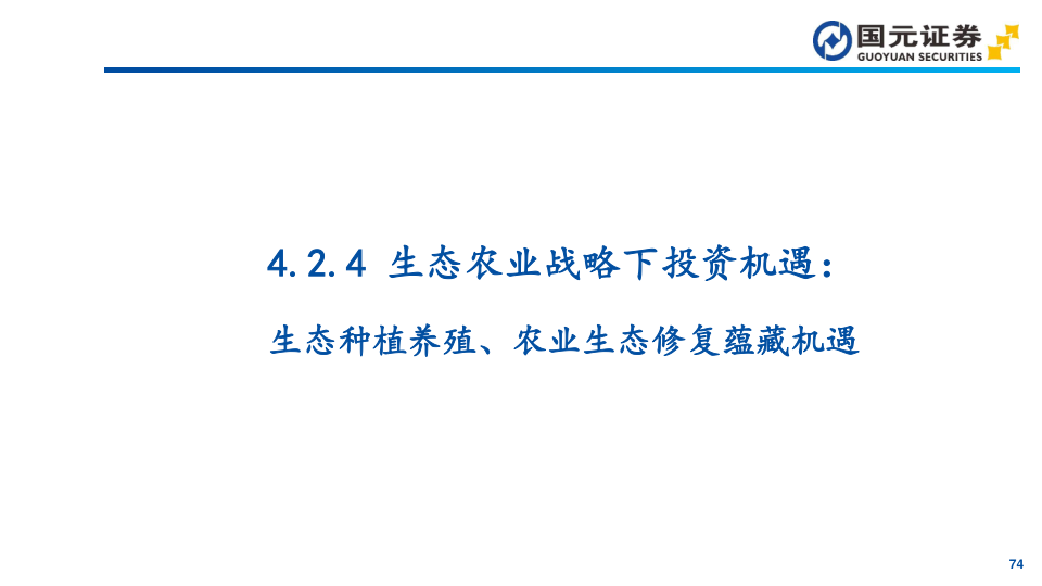 报告页面74