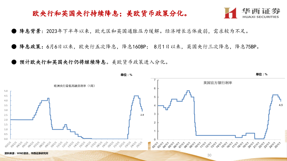 报告页面30