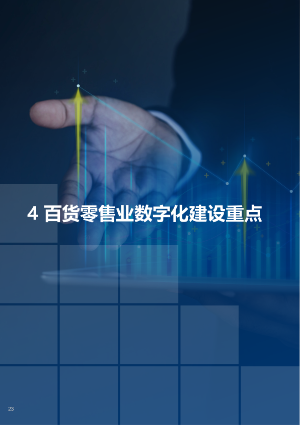 报告页面24