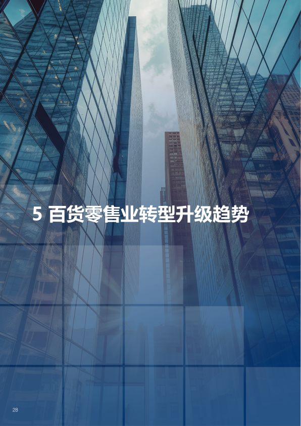 报告页面29