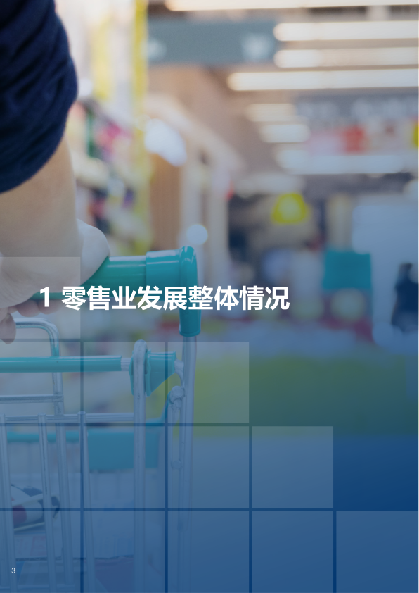 报告页面4