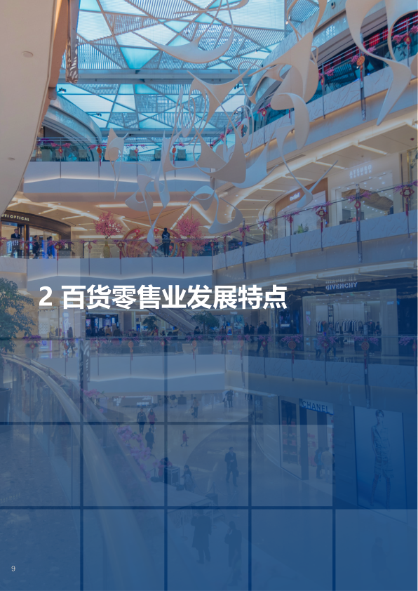 报告页面10