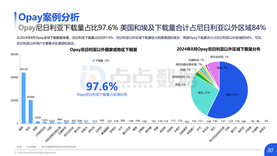报告页面30