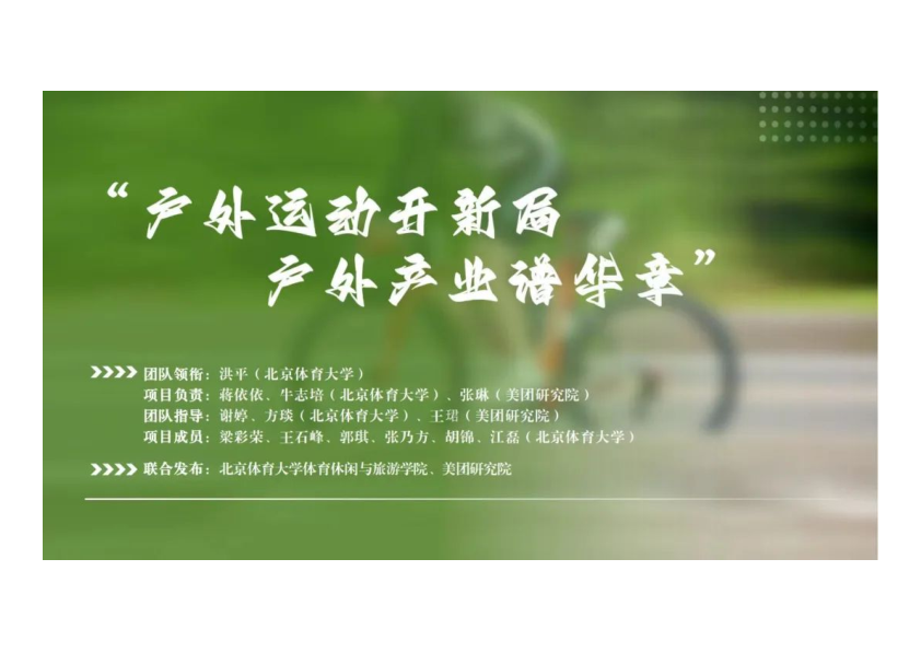 报告页面20