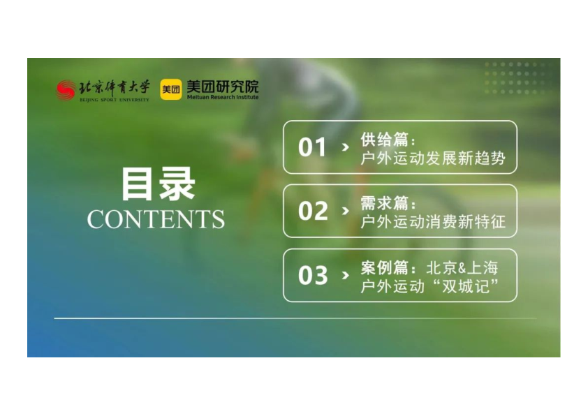 报告页面3