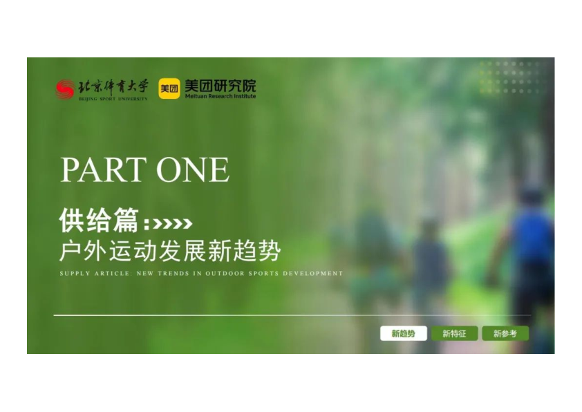 报告页面4