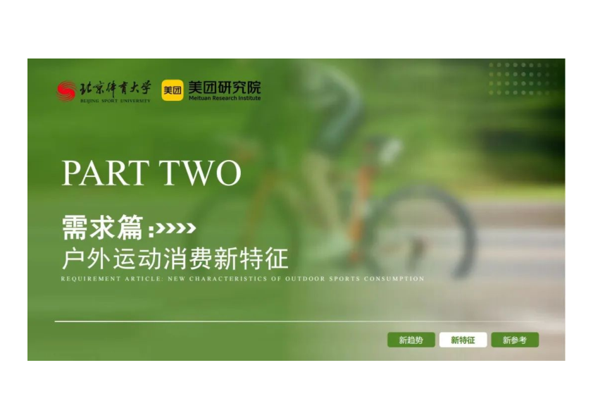 报告页面10