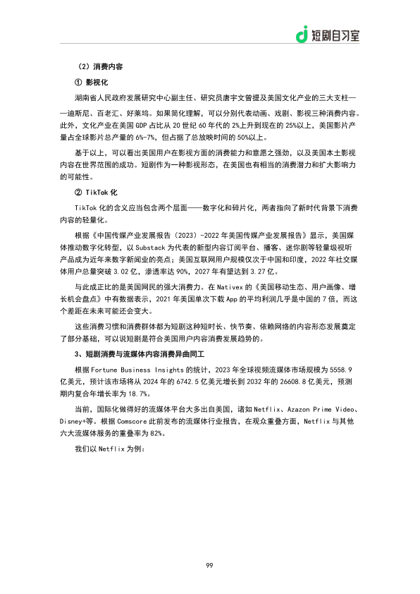 报告页面101
