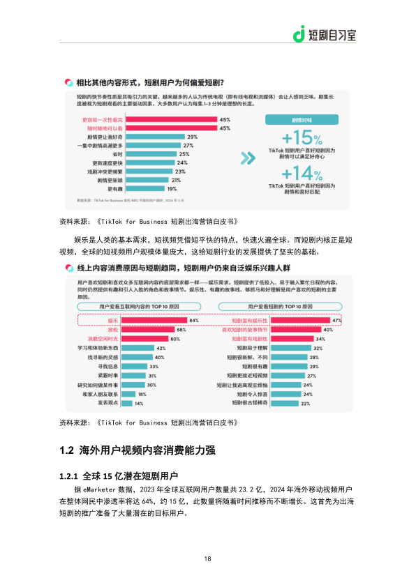 报告页面20