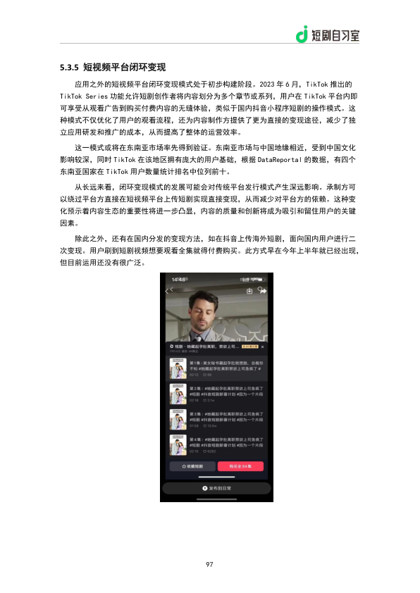 报告页面99