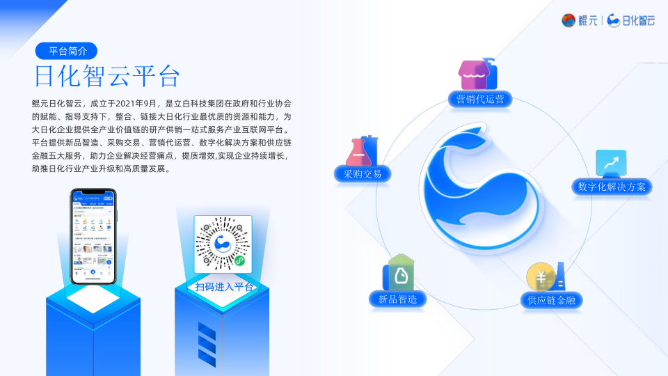 报告页面2