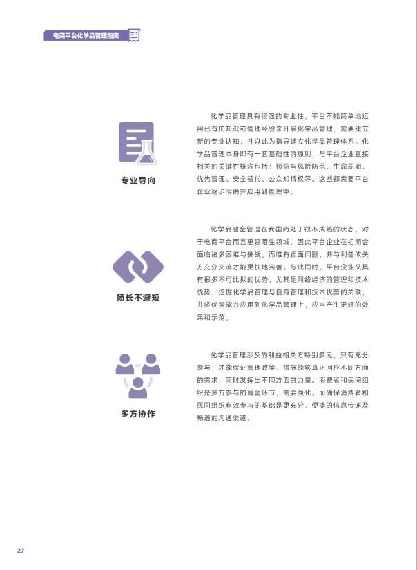 报告页面30