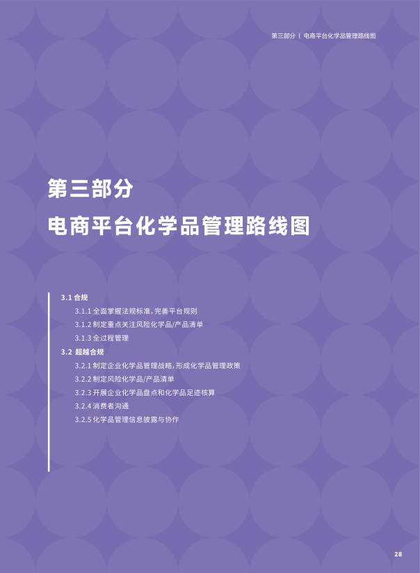 报告页面31