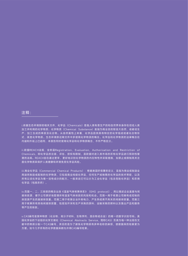 报告页面63