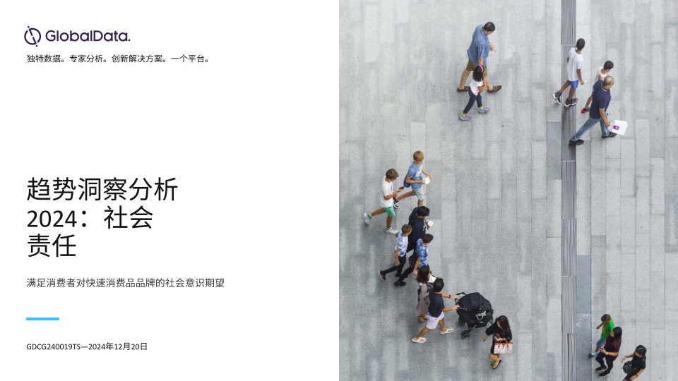报告页面1