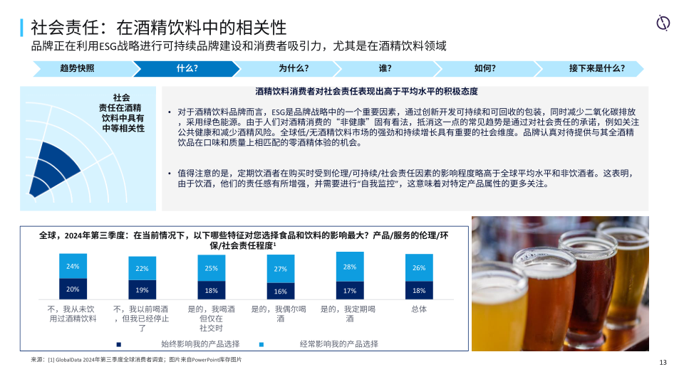 报告页面13