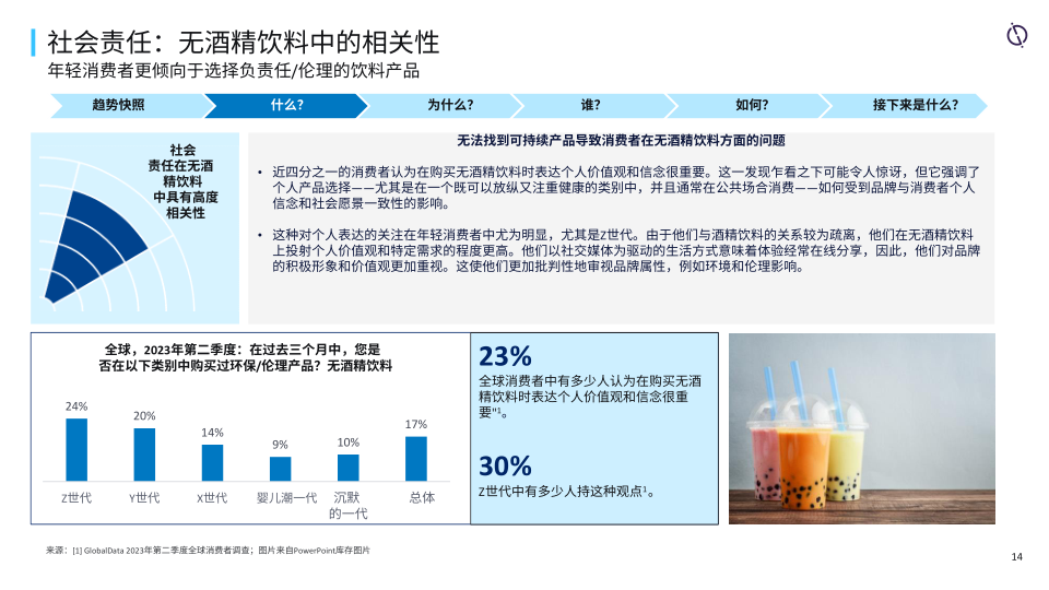 报告页面14