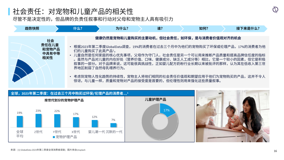 报告页面16