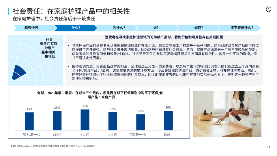 报告页面17