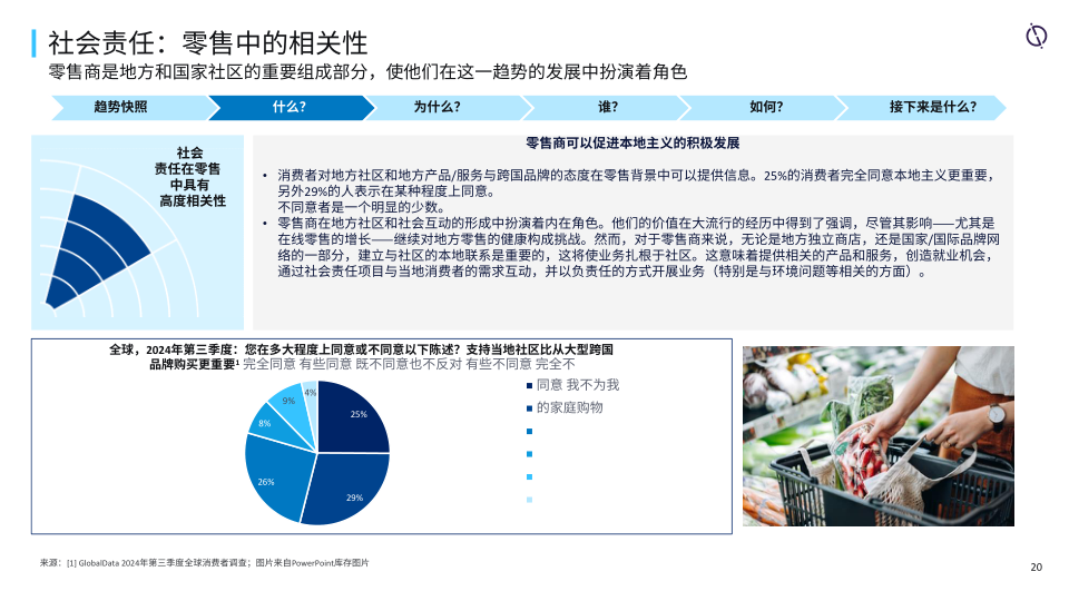 报告页面20