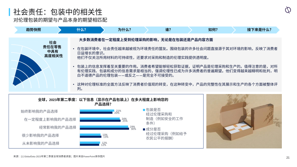 报告页面21