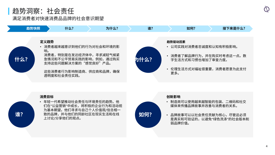 报告页面4