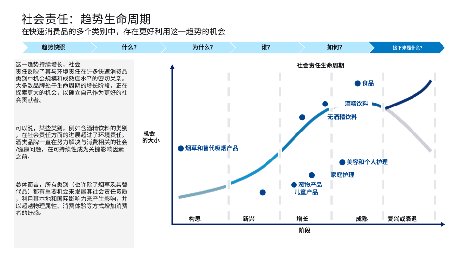 报告页面39