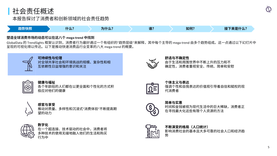 报告页面5