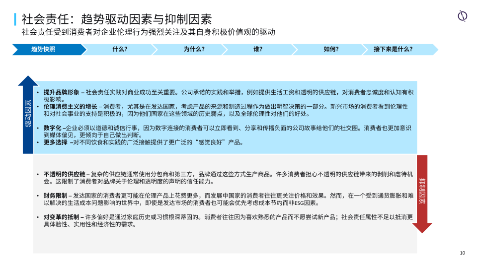 报告页面10