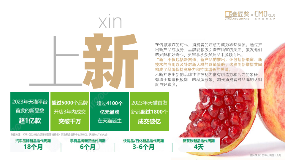 报告页面47