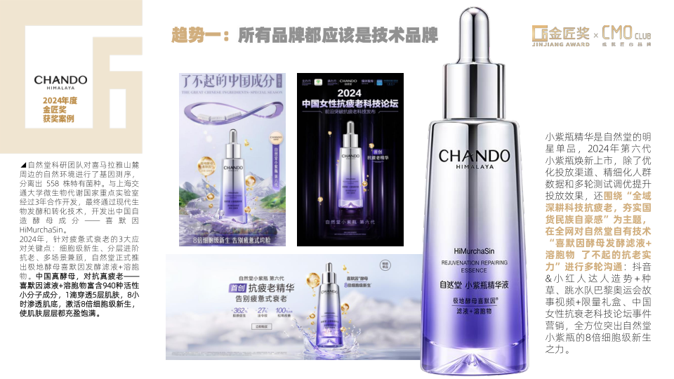 报告页面10