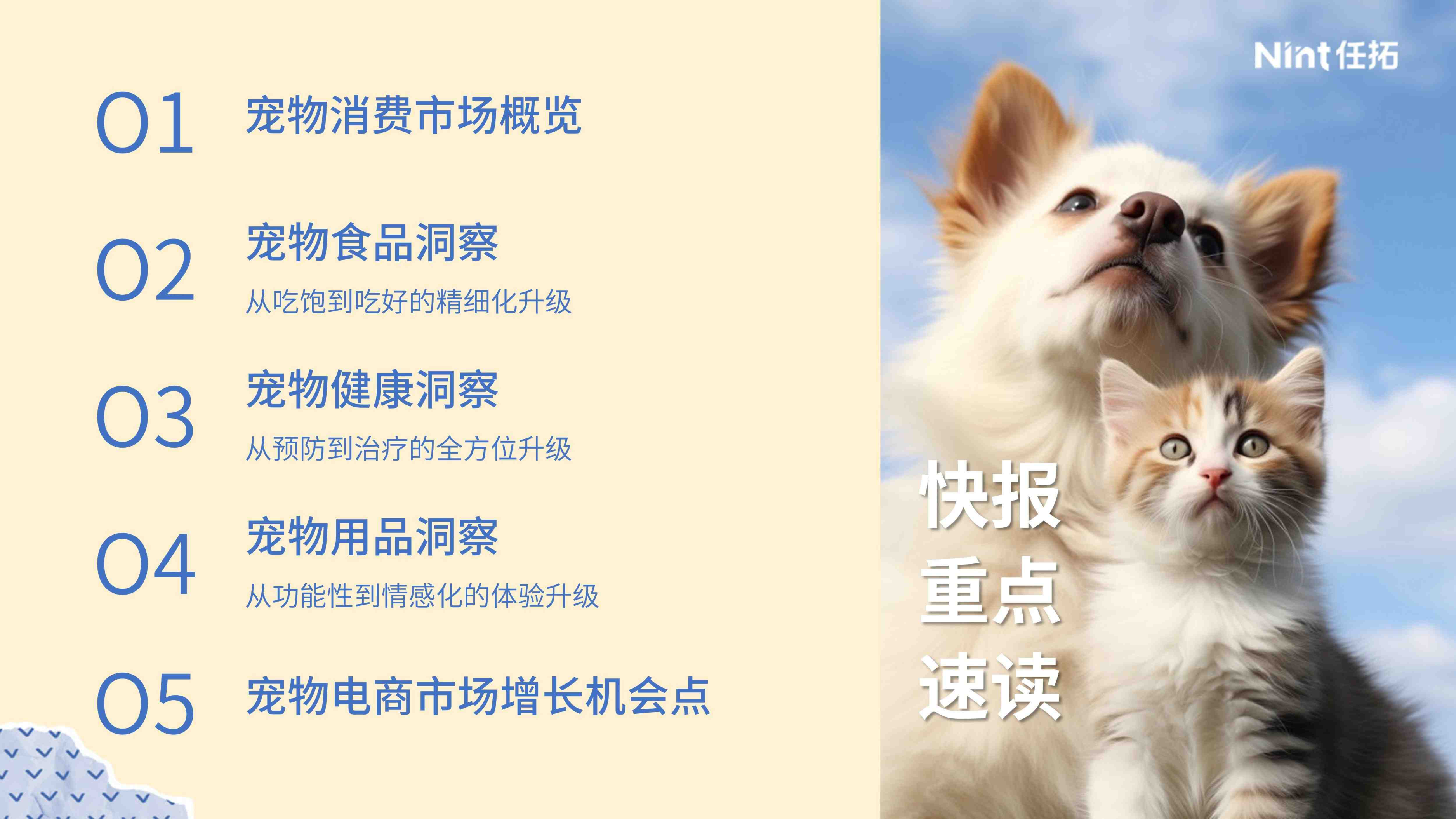 报告页面2