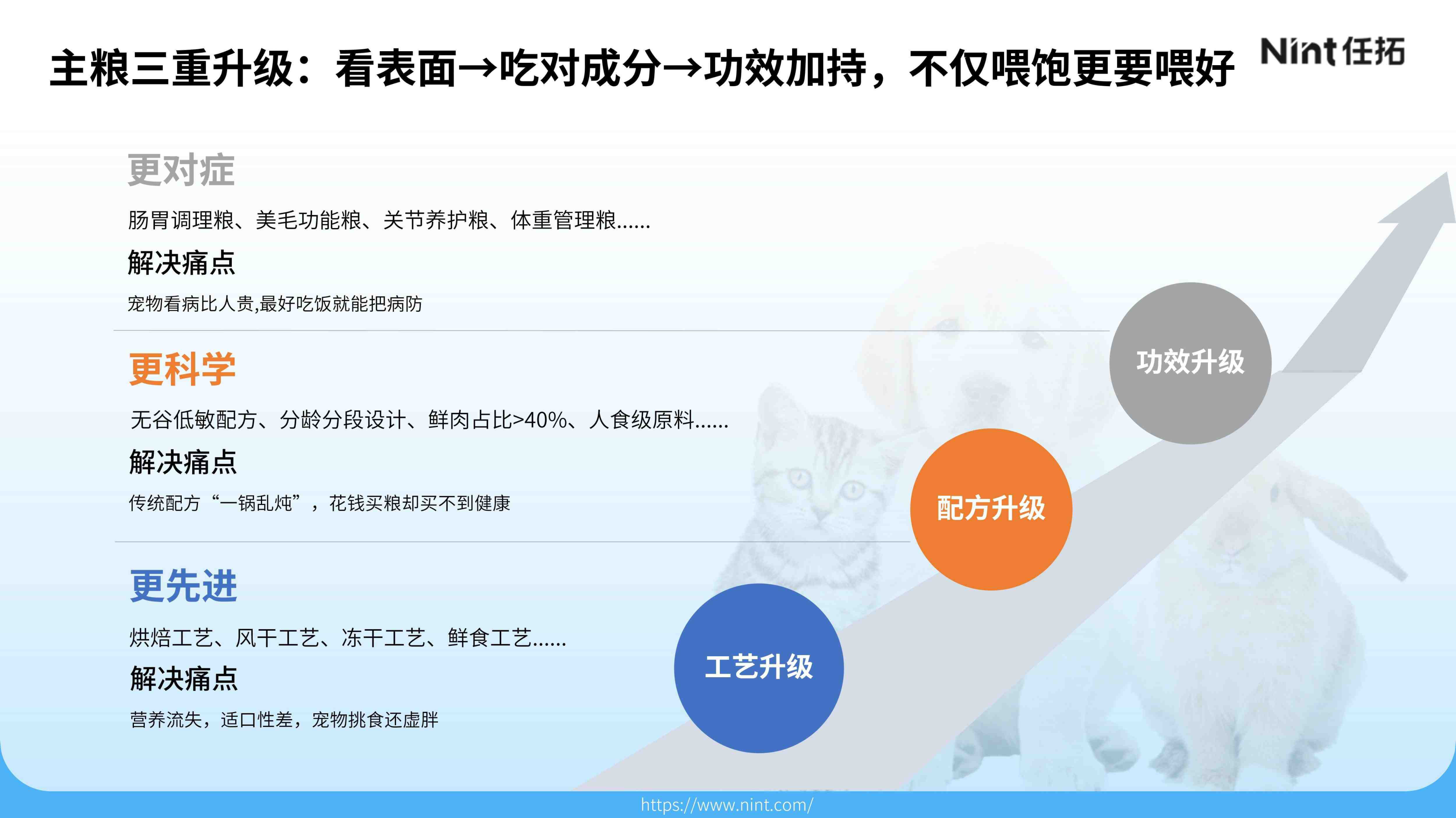 报告页面11