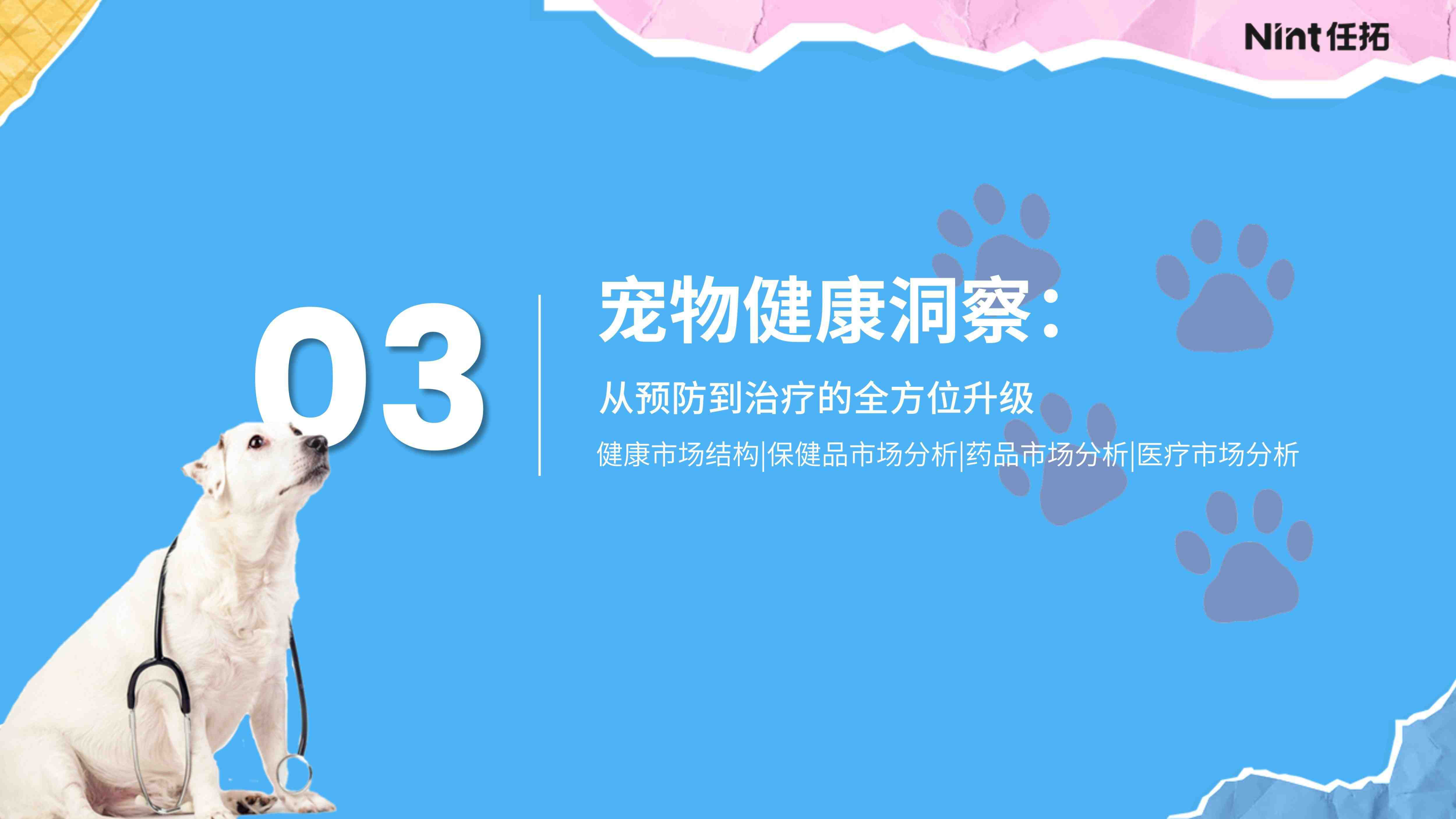 报告页面16
