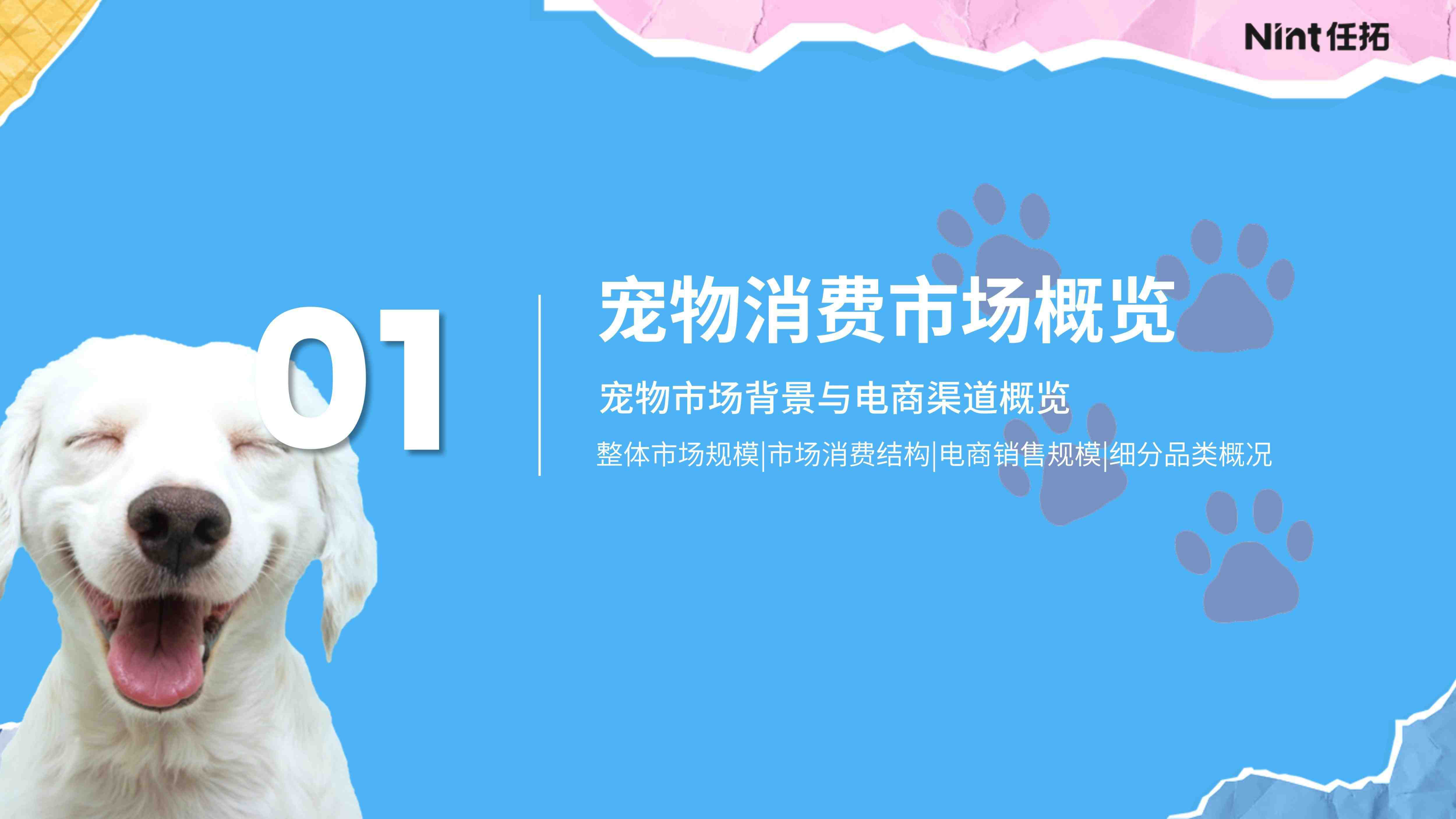 报告页面3