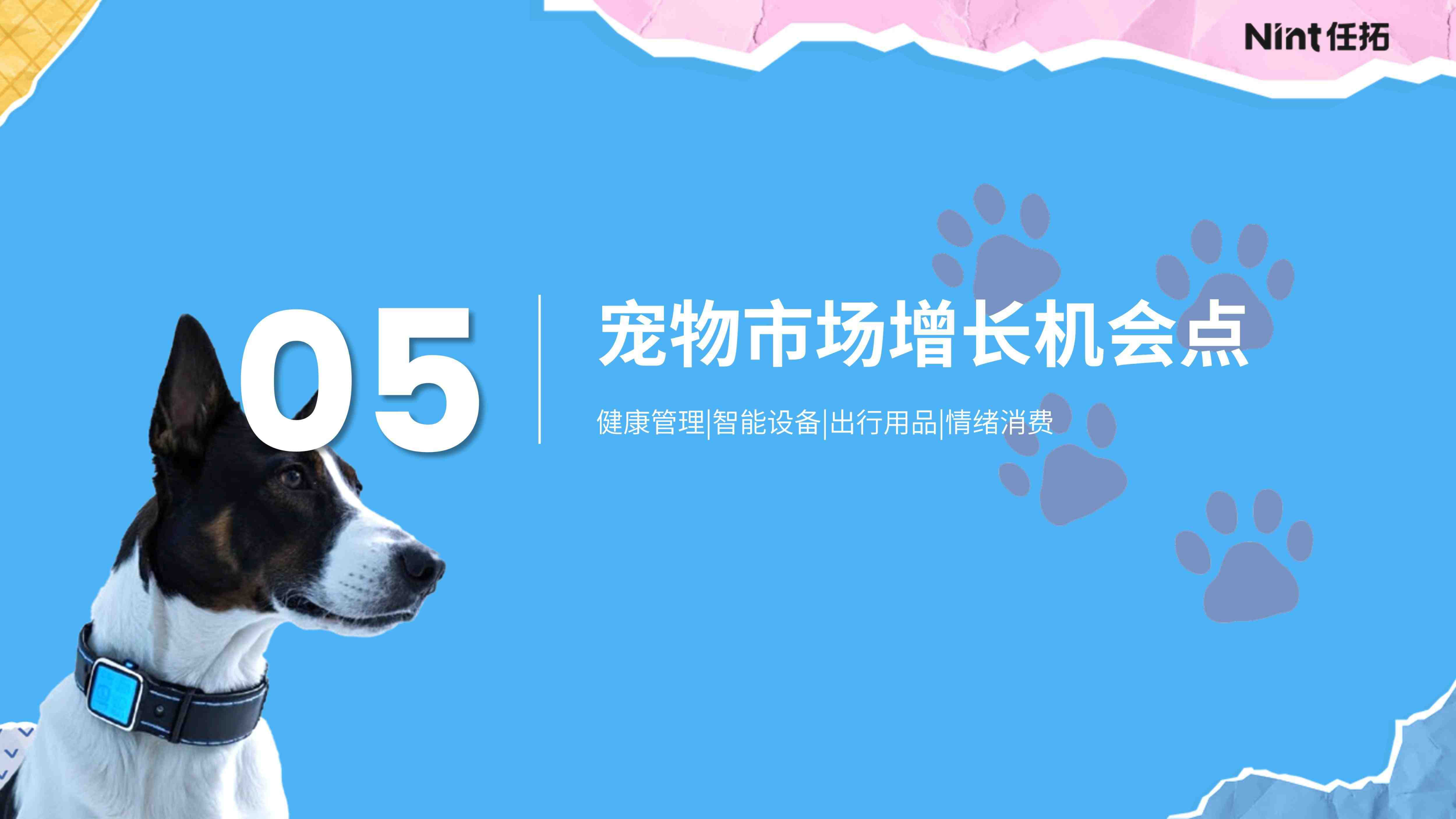 报告页面26