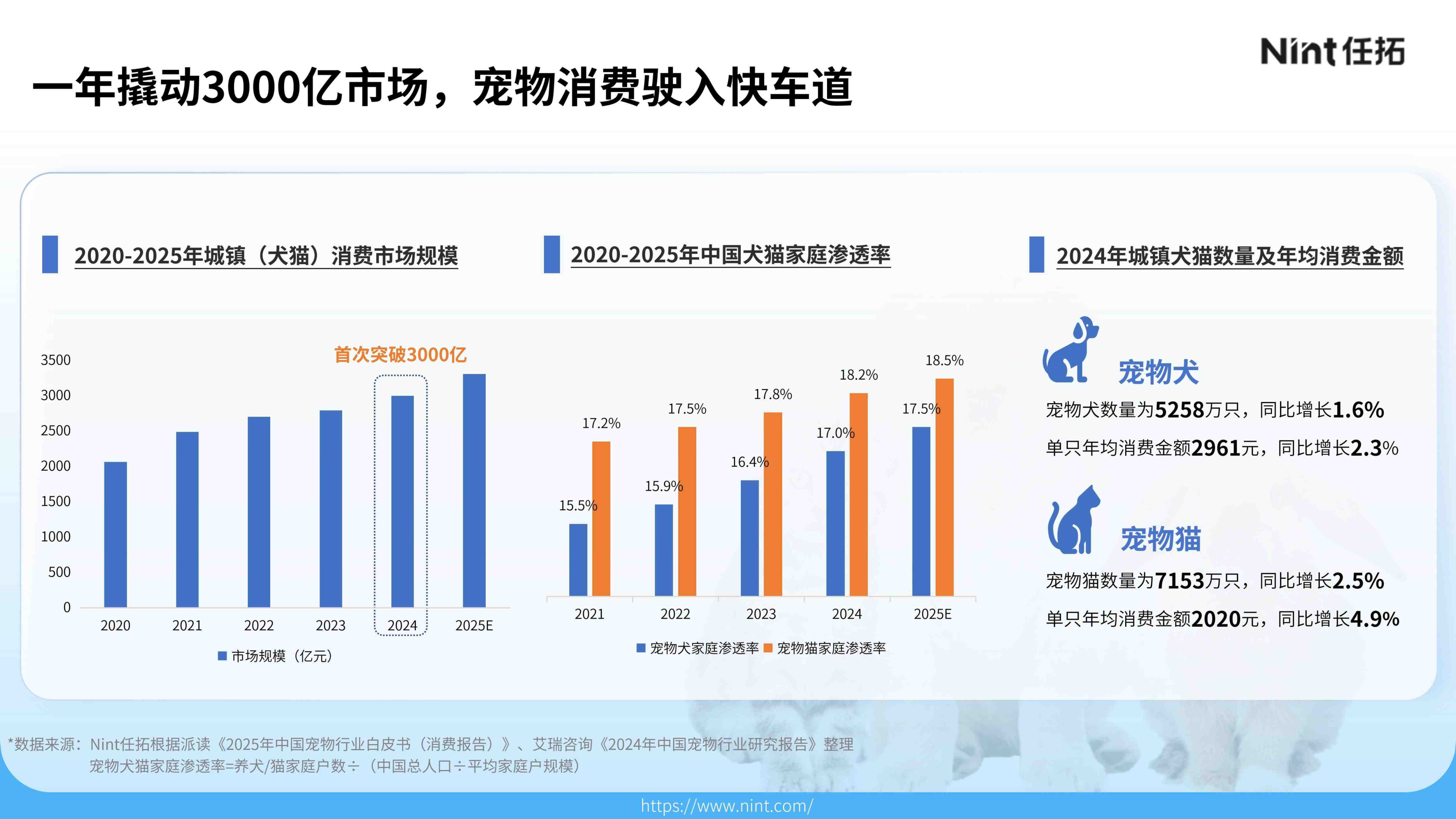 报告页面4
