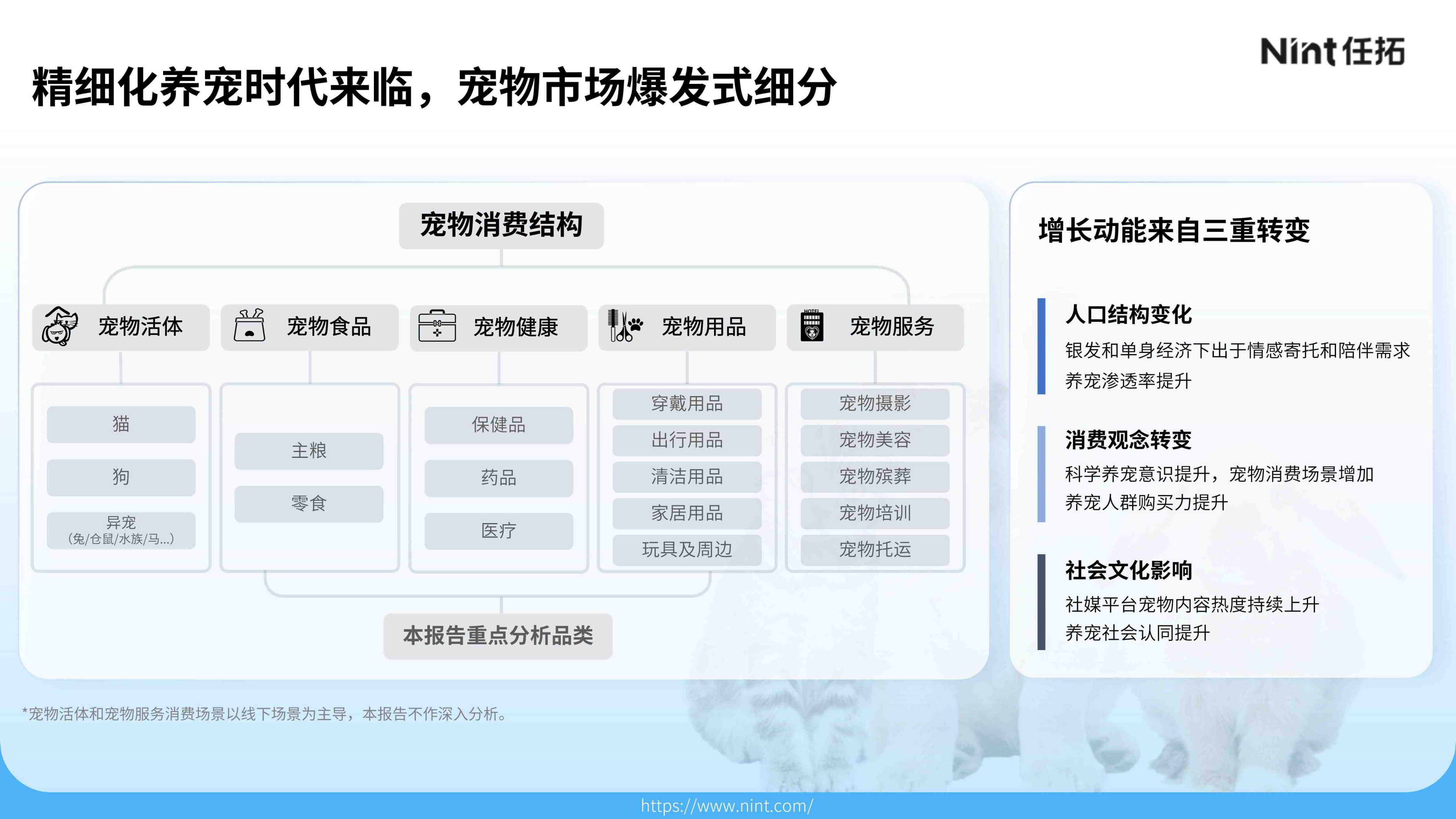 报告页面7