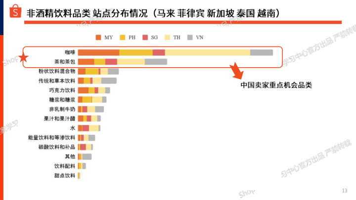 报告页面13