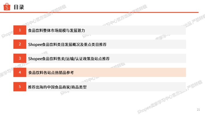 报告页面21