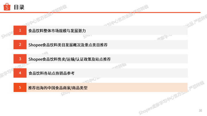 报告页面30