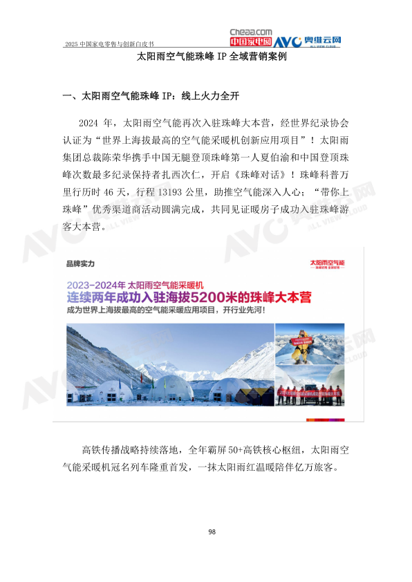 报告页面101
