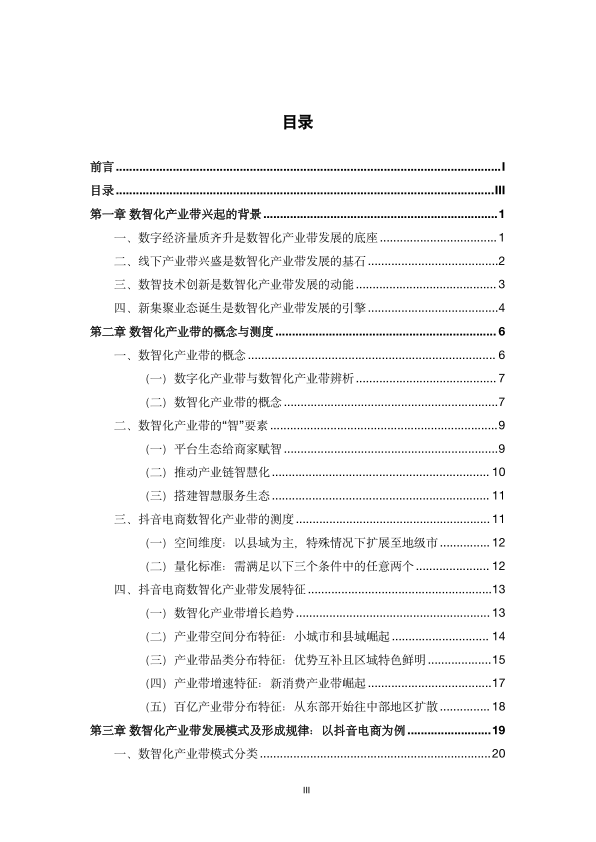 报告页面4