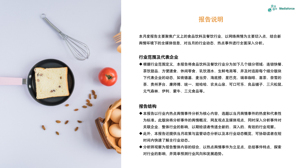 报告页面2