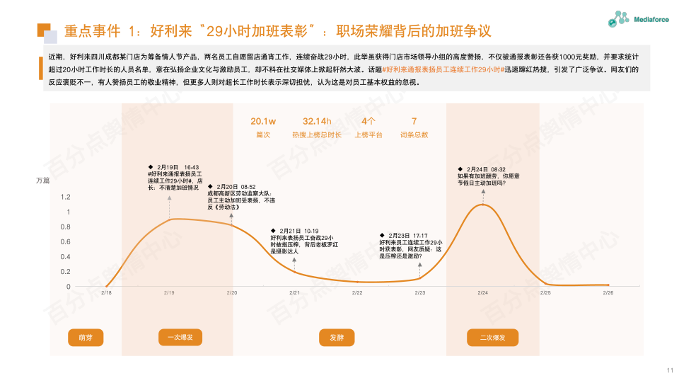 报告页面11