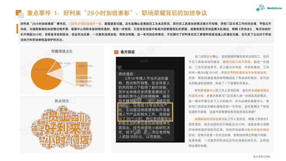 报告页面12