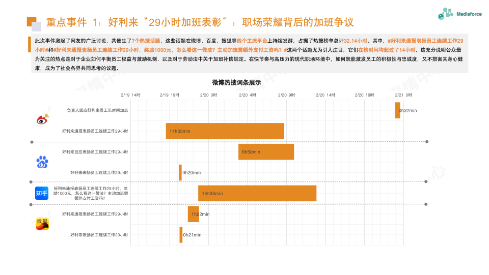 报告页面13